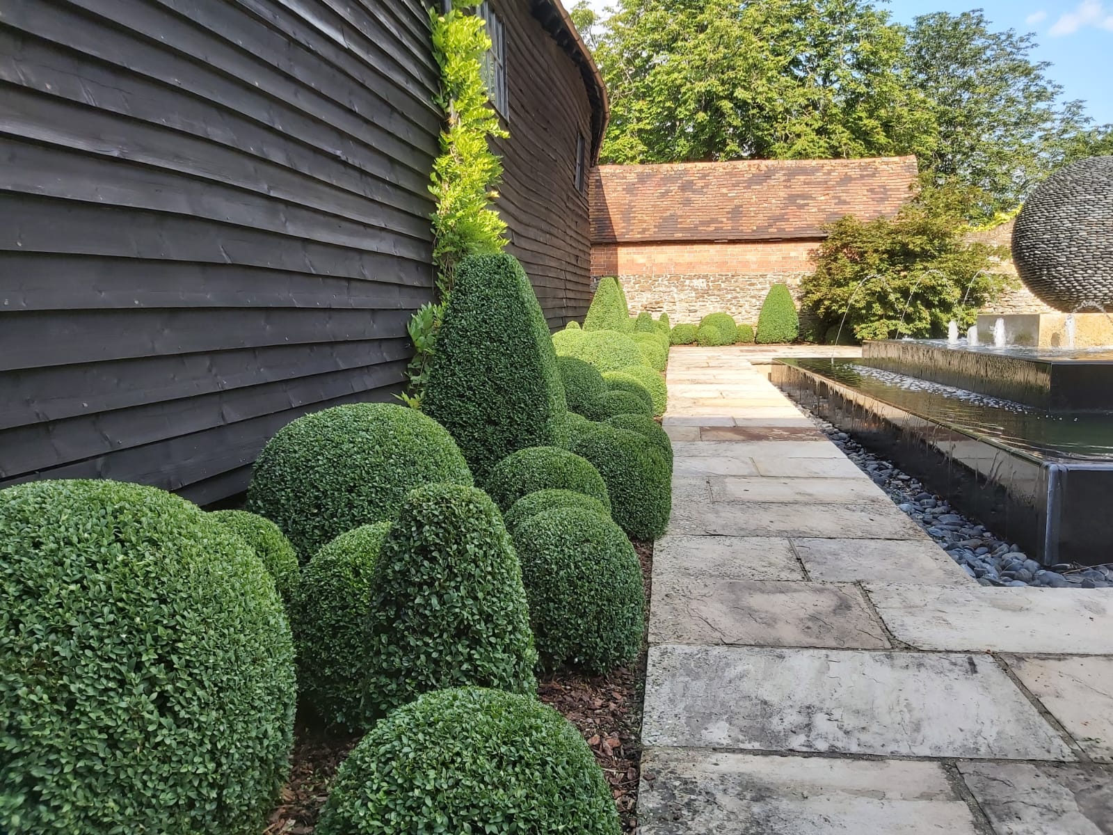 Topiary - Tim Read Gardeing Services